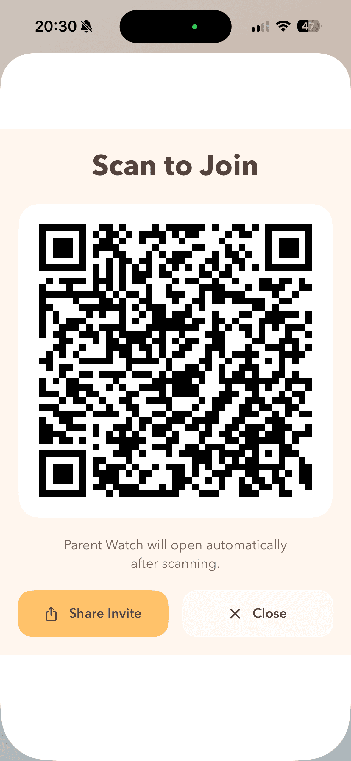 Owly logo and loading screen